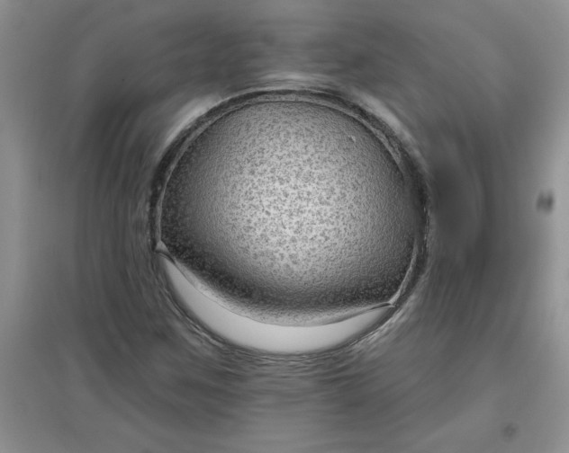 X0000097611259200803141931