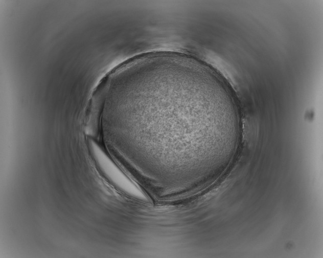 X0000097611260200803141931