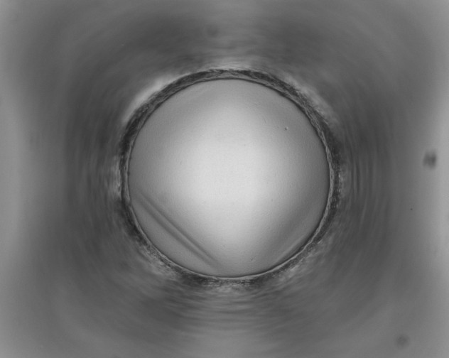 X0000097611262200803141931