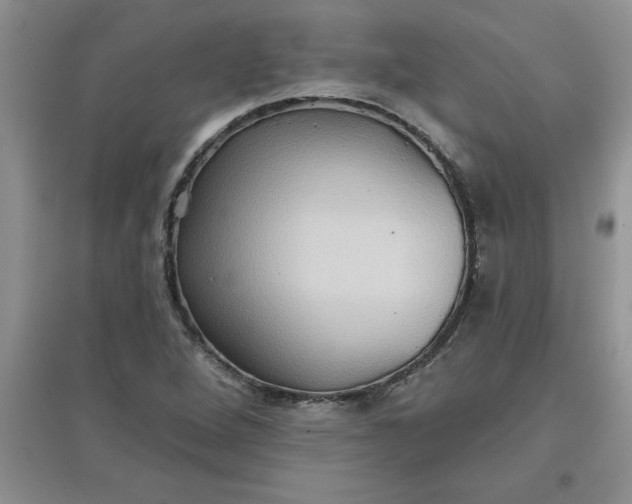 X0000097611264200803141931