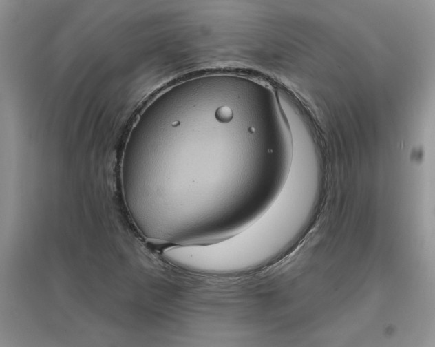 X0000097611265200803141931