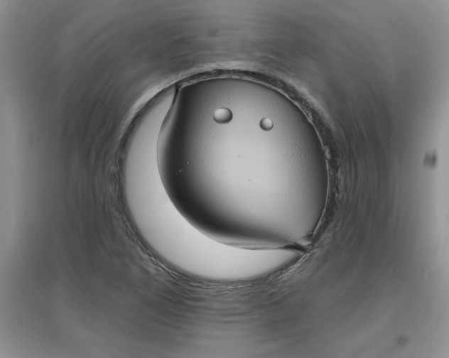 X0000097611266200803141931