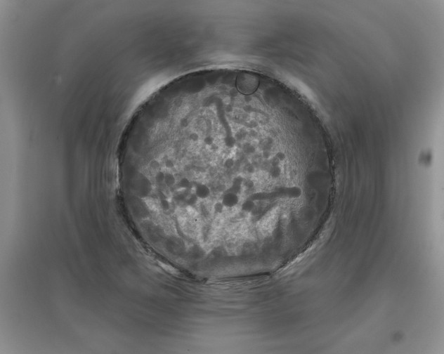 X0000097611267200803141931