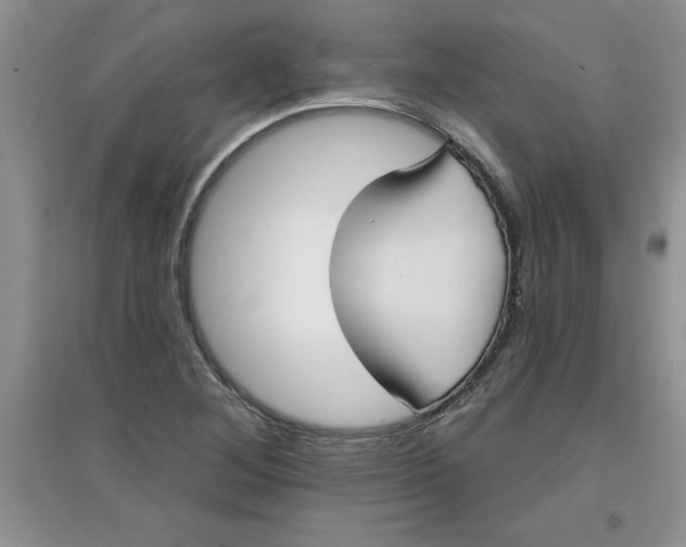 X0000097611268200803141931