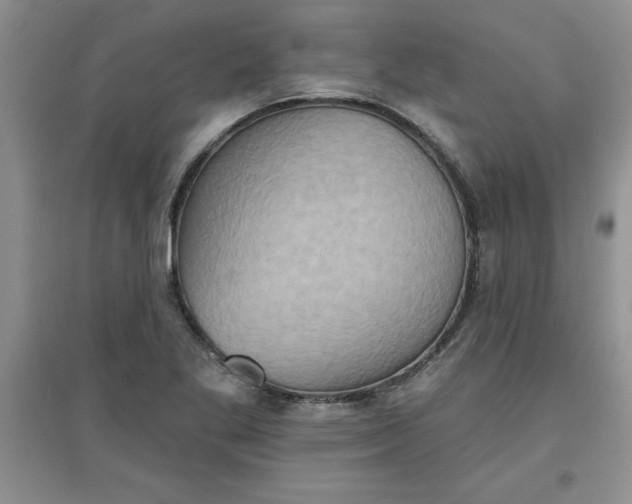 X0000097611269200803141931