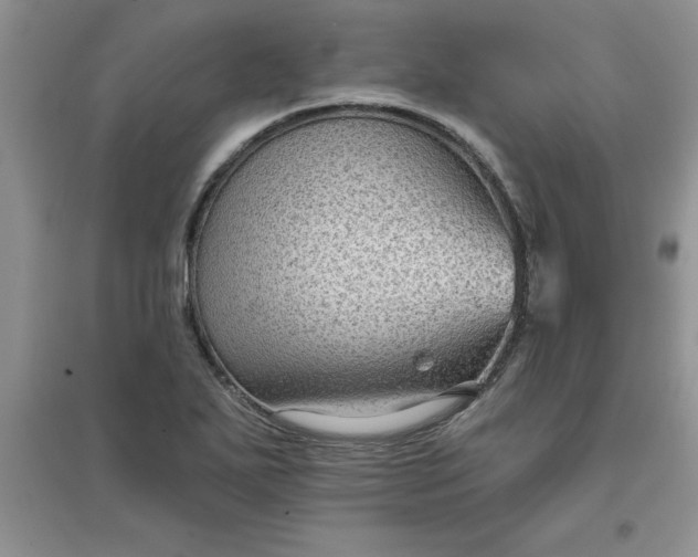 X0000097611271200803141931