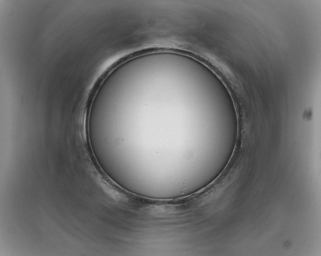 X0000097611272200803141931