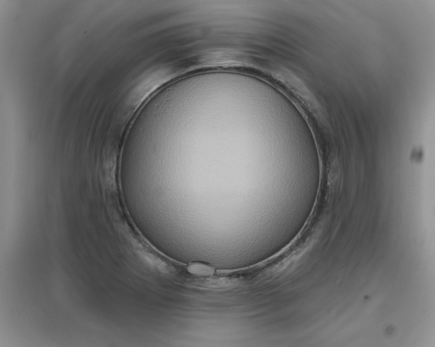 X0000097611273200803141931