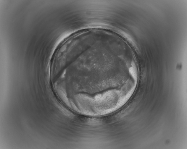 X0000097611275200803141931