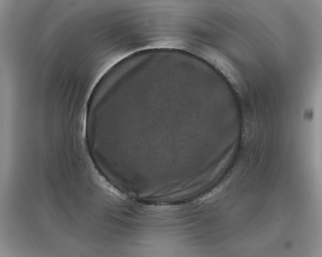 X0000097611276200803141931