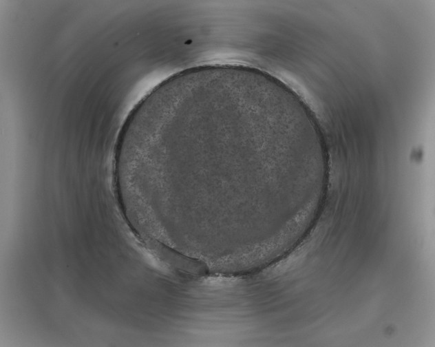 X0000097611277200803141931