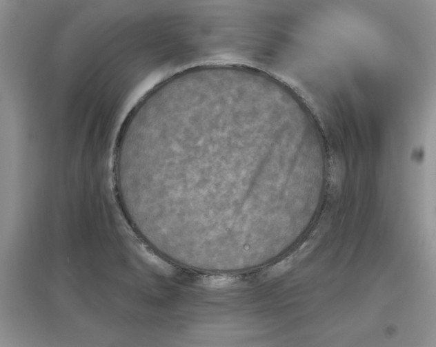 X0000097611278200803141931