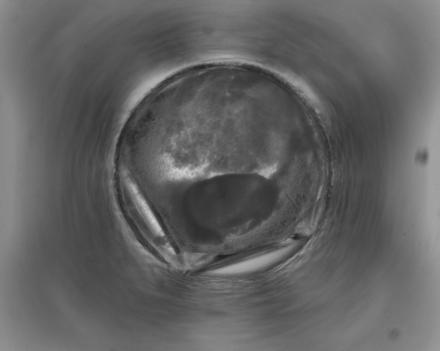 X0000097611279200803141931