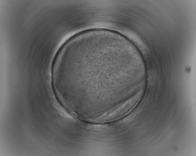 X0000097611280200803141931