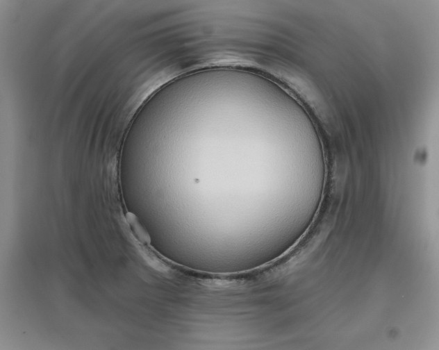 X0000097611281200803141931