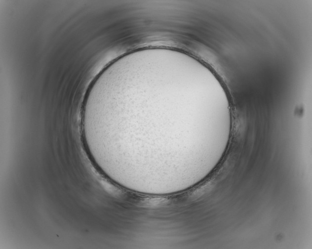 X0000097611282200803141931