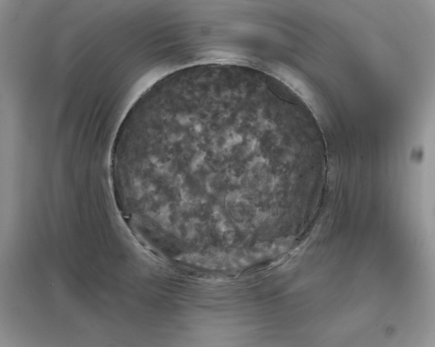 X0000097611283200803141931