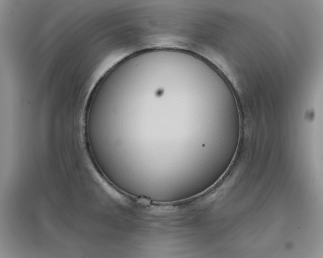 X0000097611285200803141931