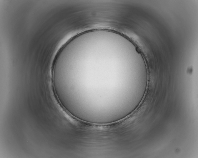 X0000097611286200803141931