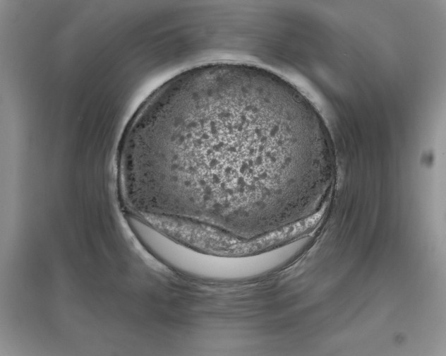 X0000097611287200803141931