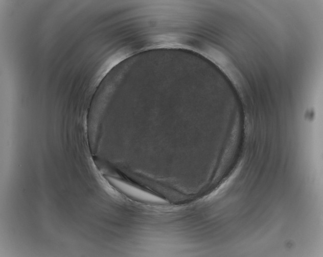 X0000097611289200803141931