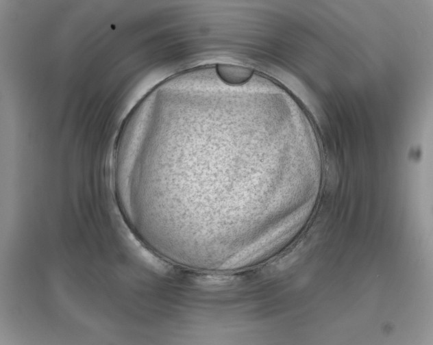 X0000097611290200803141931