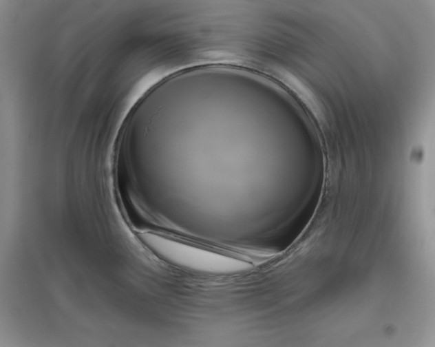 X0000097611291200803141931