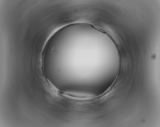 X0000097611292200803141931