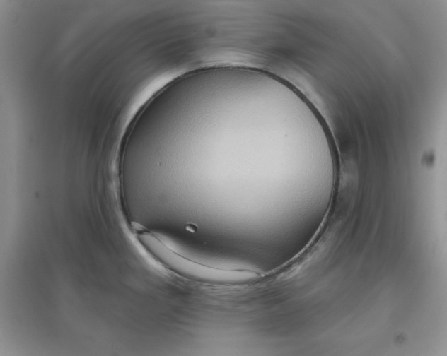 X0000097611293200803141931