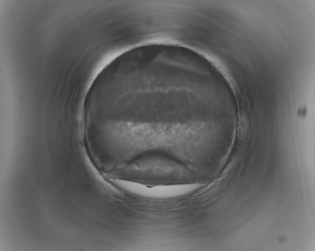 X0000097611295200803141931