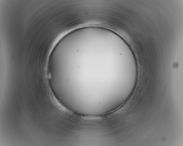 X0000097611296200803141931