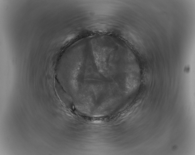 X0000097611297200803141930