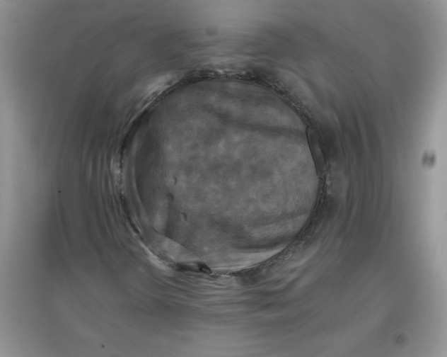 X0000097611298200803141930