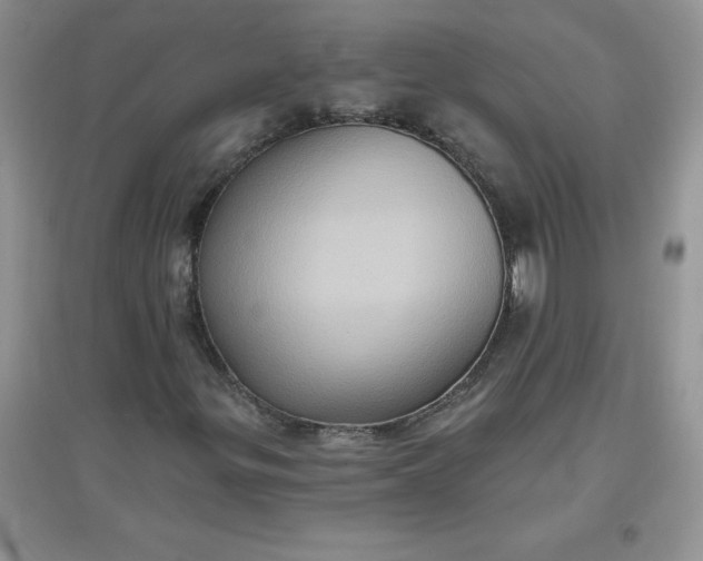 X0000097611299200803141930