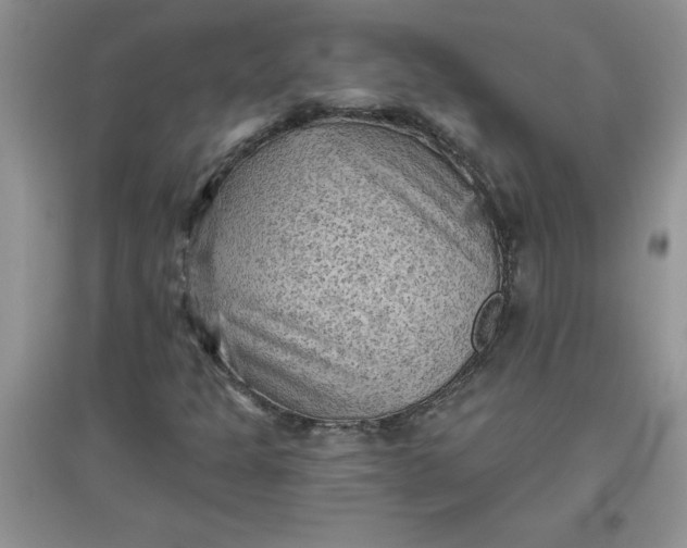 X0000097611301200803141930