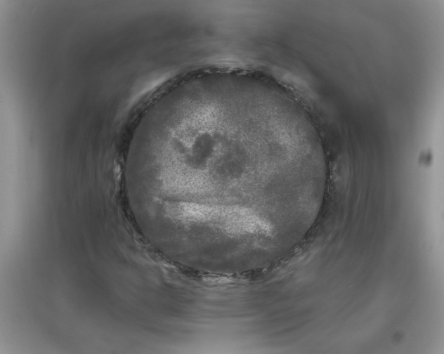 X0000097611302200803141930