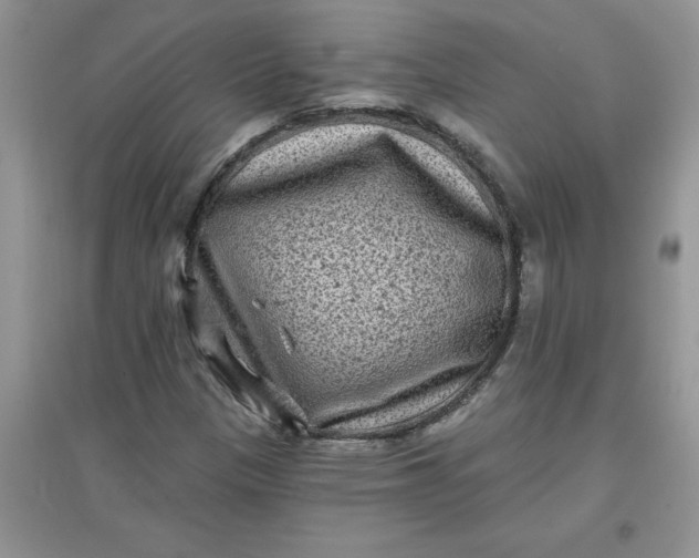 X0000097611305200803141930