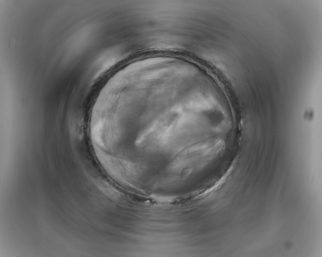 X0000097611306200803141930