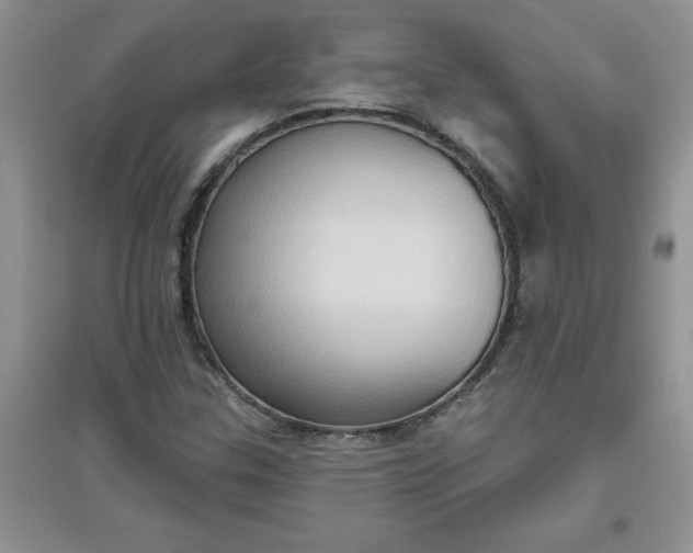 X0000097611307200803141930