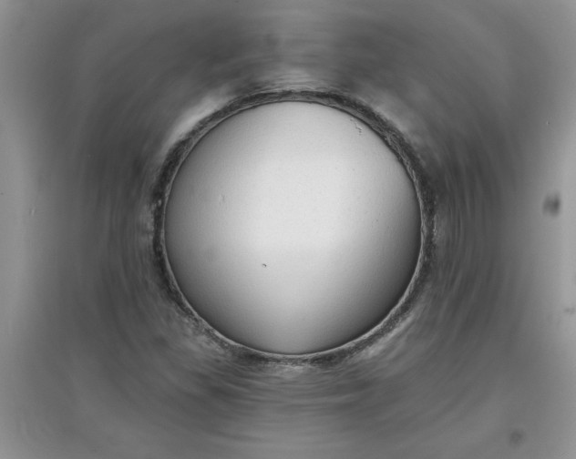 X0000097611309200803141930