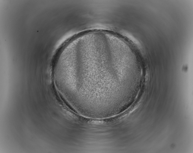 X0000097611310200803141930