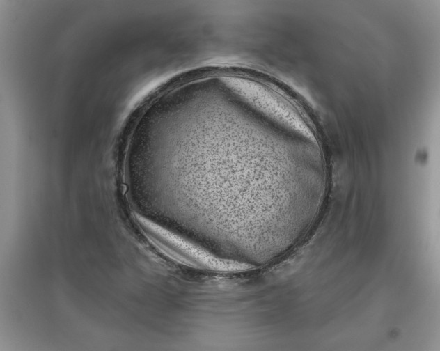 X0000097611311200803141930