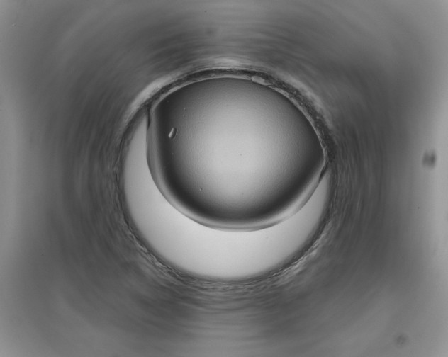 X0000097611314200803141930