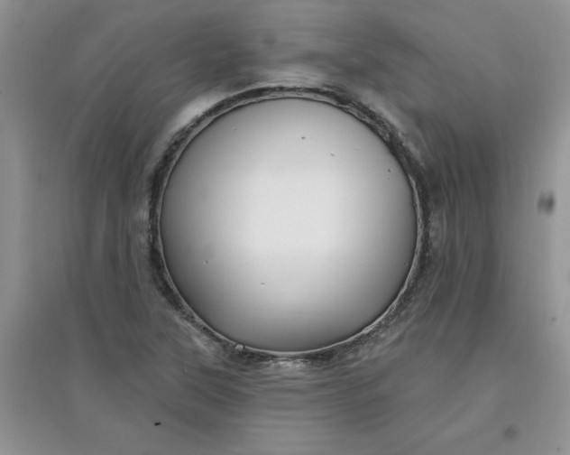 X0000097611315200803141930