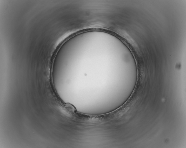 X0000097611316200803141930