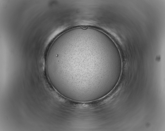 X0000097611317200803141930