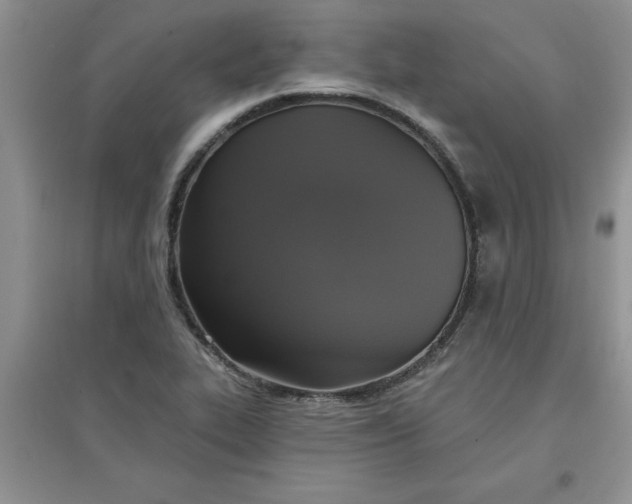 X0000097611319200803141930