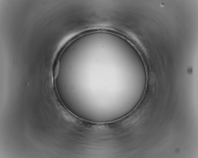 X0000097611320200803141930