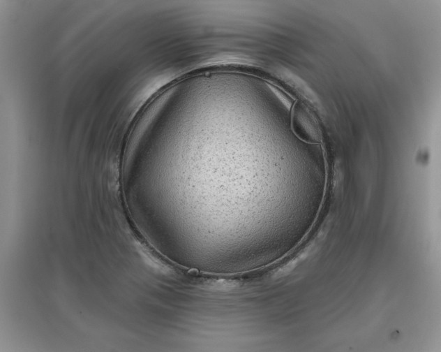 X0000097611321200803141930