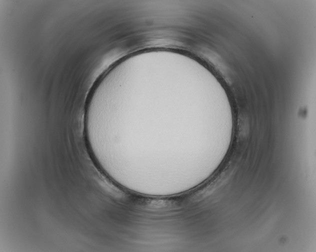 X0000097611322200803141930